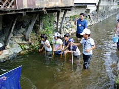 みんなで魚を網に追い込みます
