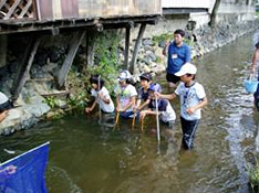 みんなで魚を網に追い込みます