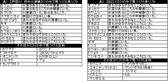 生き物調査リスト