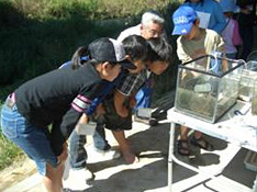 とれた魚が入った水槽に夢中
