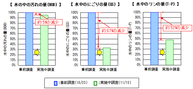 水質調査結果