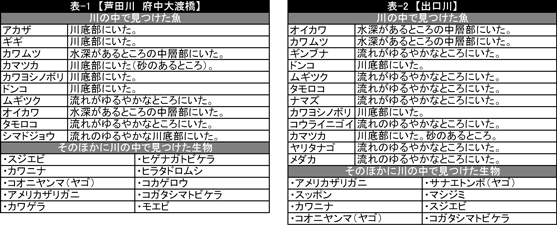 生き物調査リスト