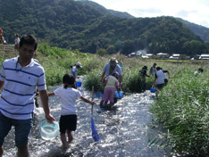 府中大渡橋付近で魚とり
