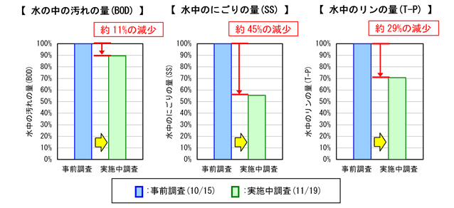水質調査結果