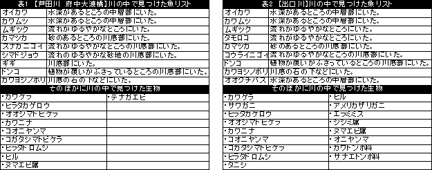 生き物調査リスト