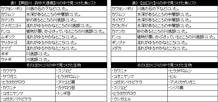 生き物調査リスト