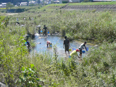 魚とり（府中大渡橋付近）