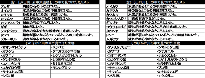 生き物調査リスト