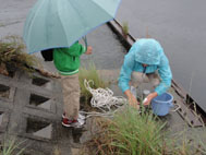 採水・現地調査