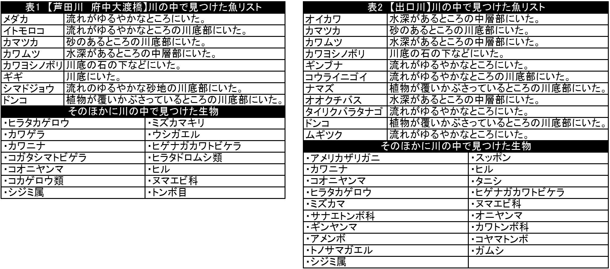 生き物調査リスト