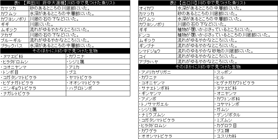 生き物調査リスト