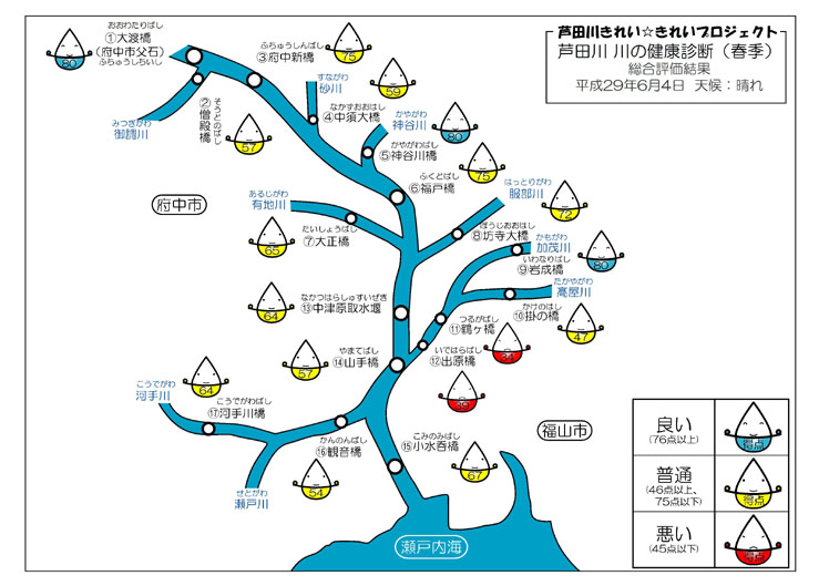 模式図