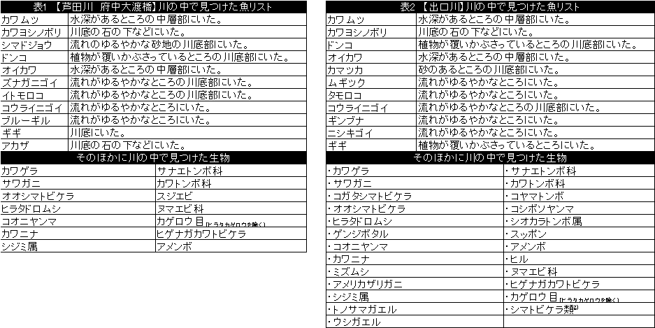 生き物調査リスト
