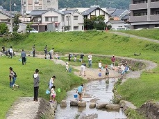 どんな生き物がとれるかな