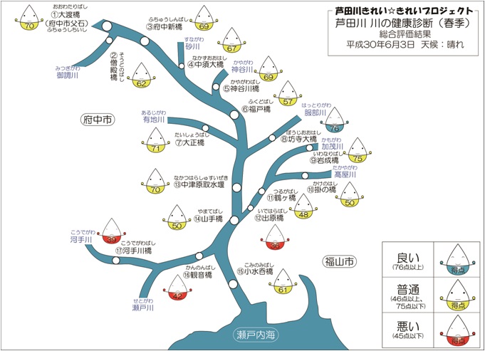 模式図