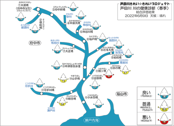 模式図