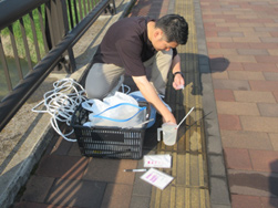 パックテスト調査