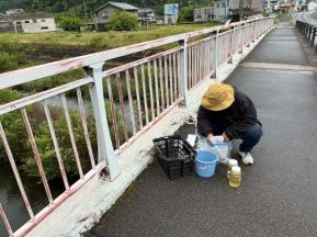 パックテスト調査